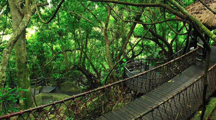 景區(qū)旅游規(guī)劃設(shè)計公司：海南呀諾達雨林文化旅游區(qū)十分注重生態(tài)旅游規(guī)劃